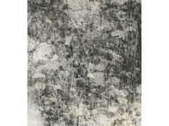Dimex fototapeta ART MS-3-0361 Príroda v šedom 225 x 250 cm