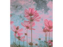 Dimex fototapeta ART MS-3-0362 Ružové kvety 225 x 250 cm