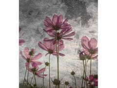 Dimex fototapeta ART MS-3-0363 Fialové kvety 225 x 250 cm