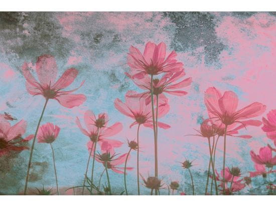 Dimex fototapeta ART MS-5-0362 Ružové kvety 375 x 250 cm