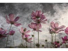 Dimex fototapeta ART MS-5-0363 Fialové kvety 375 x 250 cm