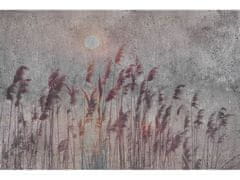 Dimex fototapeta ART MS-5-0358 Červená tráva 375 x 250 cm