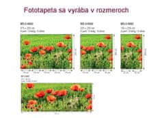 Dimex fototapeta MP-2-0092 panoráma - Vlčie maky 375 x 150 cm