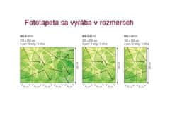 Dimex fototapeta MS-2-0111 Zelené listy 150 x 250 cm