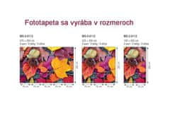 Dimex fototapeta MS-2-0112 Jesenné listy 150 x 250 cm