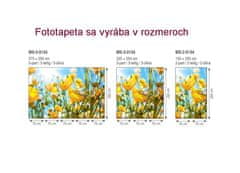 Dimex fototapeta MS-5-0134 Žlté kvety 375 x 250 cm