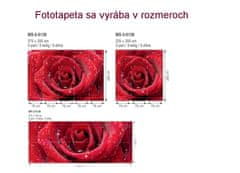 Dimex fototapeta MS-5-0138 Červená ruža 375 x 250 cm