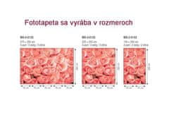 Dimex fototapeta MS-3-0133 Ruže 225 x 250 cm