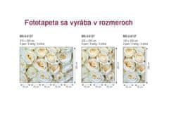 Dimex fototapeta MS-5-0137 Biele ruže 375 x 250 cm