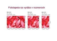 Dimex fototapeta MS-5-0151 Červené lupene 375 x 250 cm