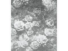 Dimex fototapeta ART MS-3-0378 Ruže v čiernom 225 x 250 cm