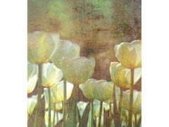Dimex fototapeta ART MS-3-0385 Tulipány 225 x 250 cm