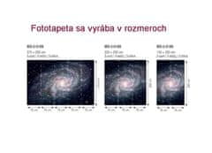 Dimex fototapeta MS-3-0189 Galaxia 225 x 250 cm