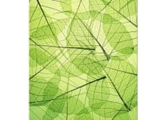 Dimex fototapeta MS-3-0111 Zelené listy 225 x 250 cm