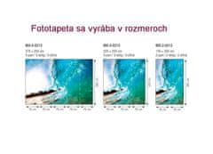 Dimex fototapeta MS-2-0213 Oceánska vlna 150 x 250 cm