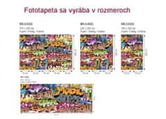 Dimex fototapeta MS-3-0322 Grafity art 225 x 250 cm