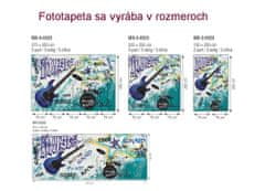 Dimex fototapeta MS-3-0323 Modrá gitara 225 x 250 cm