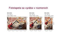 Dimex fototapeta MS-2-0324 Červená gitara 150 x 250 cm