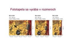 Dimex fototapeta MS-5-0330 Music v oranžovom 375 x 250 cm