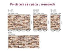 Dimex Fototapeta MP-2-0172 panoráma - Kamenný obklad 375 x 150 cm