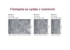 Dimex Fototapeta MS-5-0173 Betónový obklad 375 x 250 cm