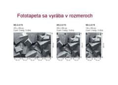 Dimex Fototapeta MS-2-0176 3D Betónové kocky 150 x 250 cm
