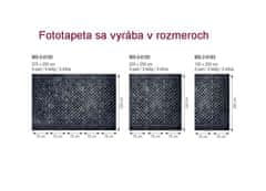Dimex Fototapeta MS-5-0183 Kovová podlaha 375 x 250 cm