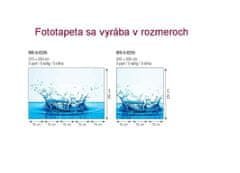 Dimex fototapeta MS-3-0235 Voda 225 x 250 cm