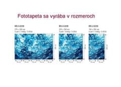 Dimex fototapeta MS-5-0236 Bublinková voda 375 x 250 cm