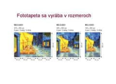 Dimex fototapeta MS-3-0251 Terasa 225 x 250 cm