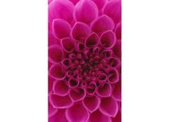 Dimex fototapeta MS-2-0132 Ružová georgína 150 x 250 cm