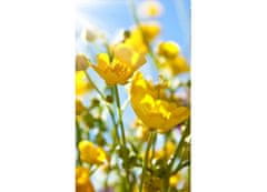 Dimex fototapeta MS-2-0134 Žlté kvety 150 x 250 cm