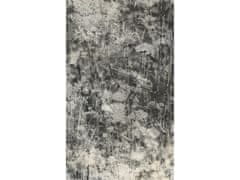 Dimex fototapeta ART MS-2-0361 Príroda v šedom 150 x 250 cm