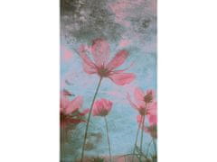 Dimex fototapeta ART MS-2-0362 Ružové kvety 150 x 250 cm