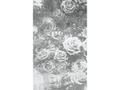 Dimex fototapeta ART MS-2-0378 Ruže v čiernom 150 x 250 cm