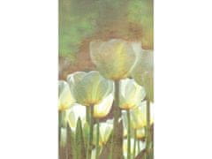 Dimex fototapeta ART MS-2-0385 Tulipány 150 x 250 cm