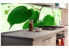 Dimex fototapety do kuchyne, samolepiace - Zelené listy 60 x 180 cm