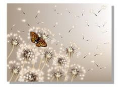 Dimex Dimex, obrazy na plátne - Púpavy s motýľom 100 x 75 cm