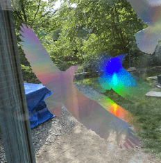 Silueta dravca z holografickej fólie Fantasy rainbow, proti narážaniu vtákov do skla Silueta dravca z holografickej folie Fantasy rainbow (80 x 200 mm tl. 0,065 mm) - kód: 24608
