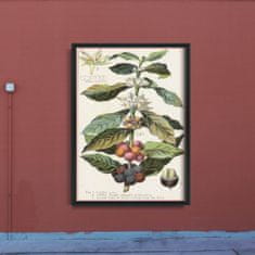 Vintage Posteria Poster na stenu Poster na stenu Arabica Coffee Kitchen Print A4 - 21x29,7 cm