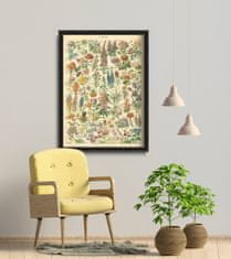 Vintage Posteria Poster na stenu Poster na stenu Kvetinová potlač Adolphe Millo A1 - 59,4x84,1 cm