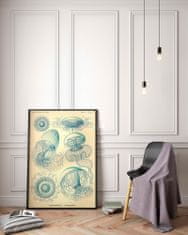 Vintage Posteria Plagát na stenu Plagát na stenu Medúza od Ernsta Haeckela A4 - 21x29,7 cm