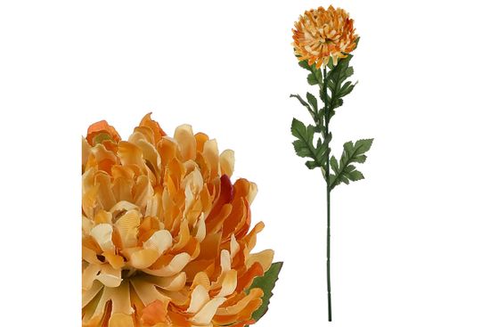 Autronic Chryzantéma veľkokvetá, jednohlavá, farba oranžová žíhaná. KU4346
