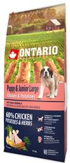 Ontario Puppy & Junior Large Chicken & Potatoes 12kg