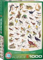 EuroGraphics Puzzle Vtáky 1000 dielikov