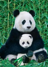 EuroGraphics Puzzle Panda a mláďa 1000 dielikov