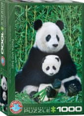EuroGraphics Puzzle Panda a mláďa 1000 dielikov