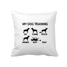 Fenomeno Vankúšik - Training(pes)