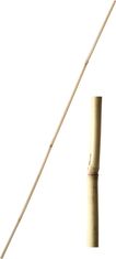 Tyč bambusová 120 cm hr. 8-10 mm - 10 ks