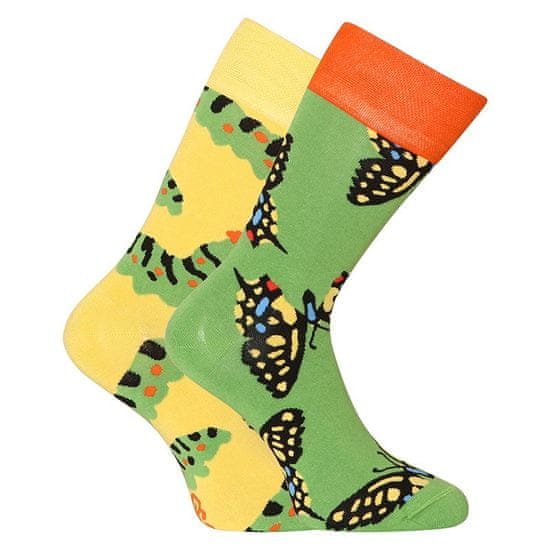 Dedoles Veselé bambusové ponožky Motýľ vidlochvost (D-U-SC-RS-C-B-1548)